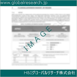 グローバルリサーチ調査資料のイメージ